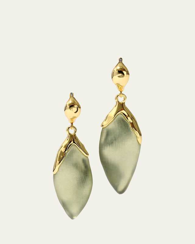 Luminous Lucite Petal Earrings